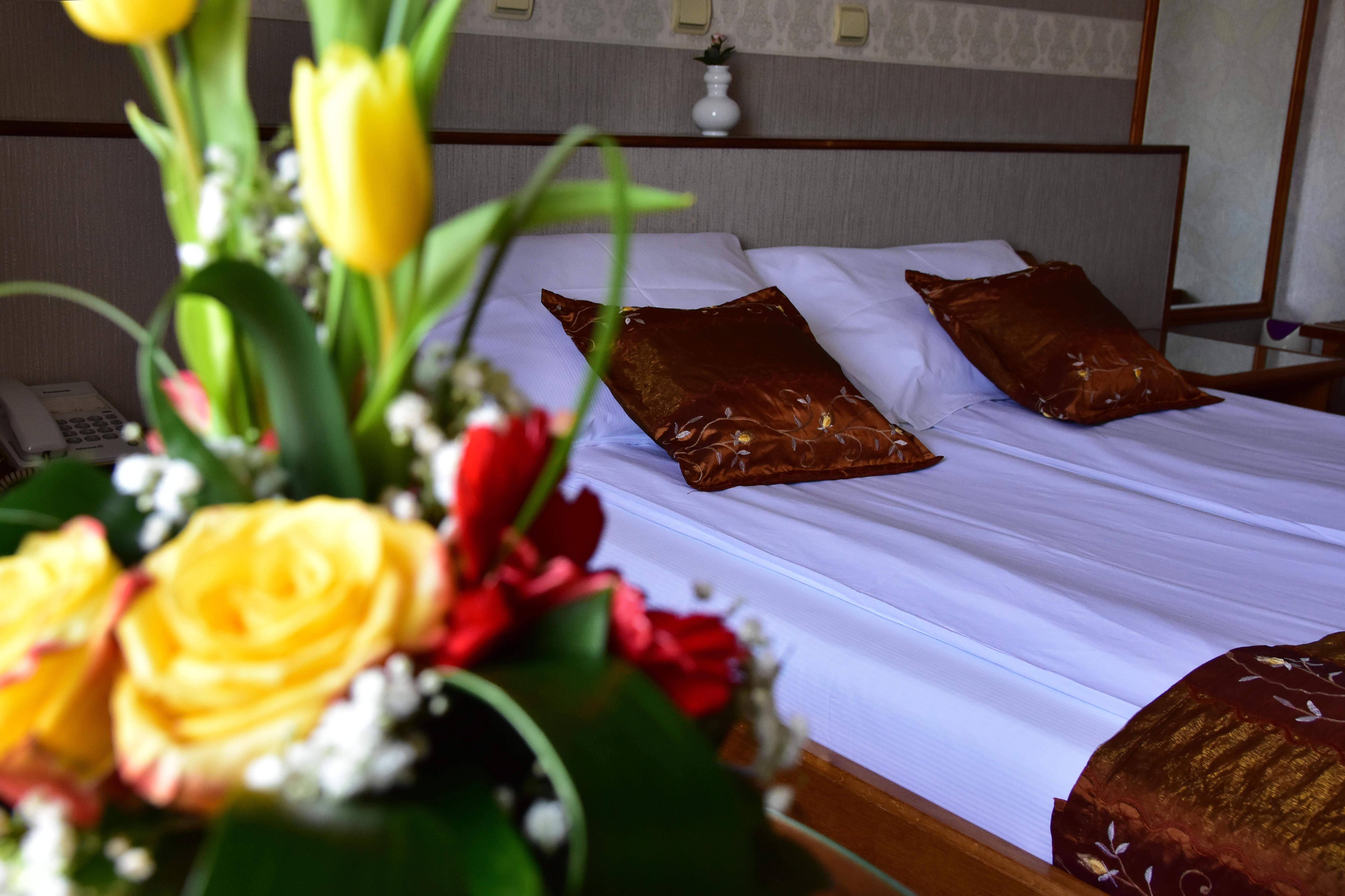 Garni Hotel Lav Belgrade Exterior photo